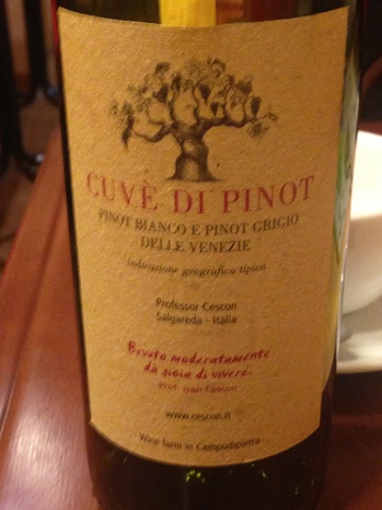 CUVE DI PINOT.jpg